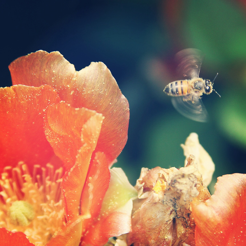 Illustration for article titled Spring has sprung: A Xyl0 photo gallery